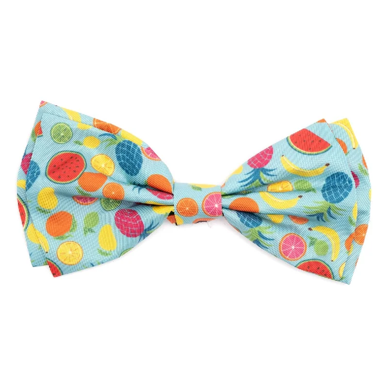 Tutti Frutti Dog Bow Tie