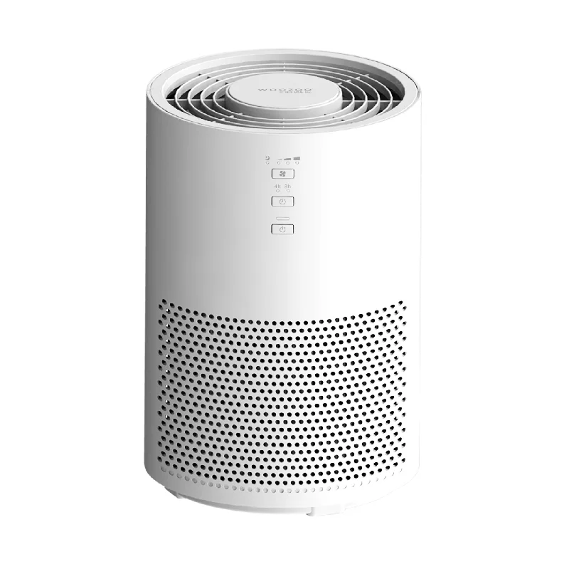 Air Purifier For Medium Rooms w/ HEPA Filter