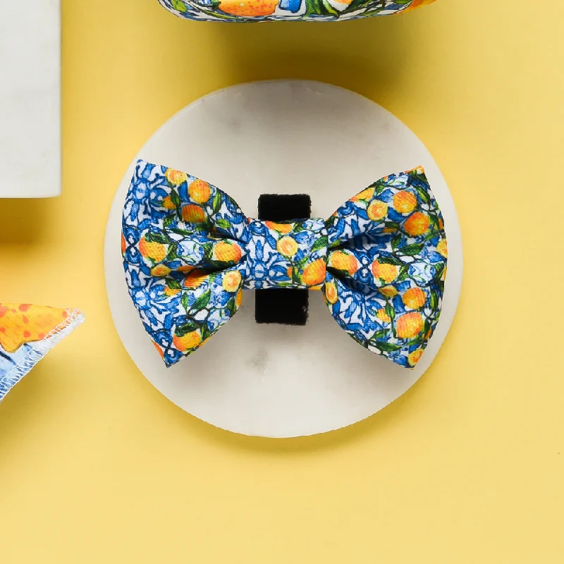 Amalfi Lemon Bow Tie