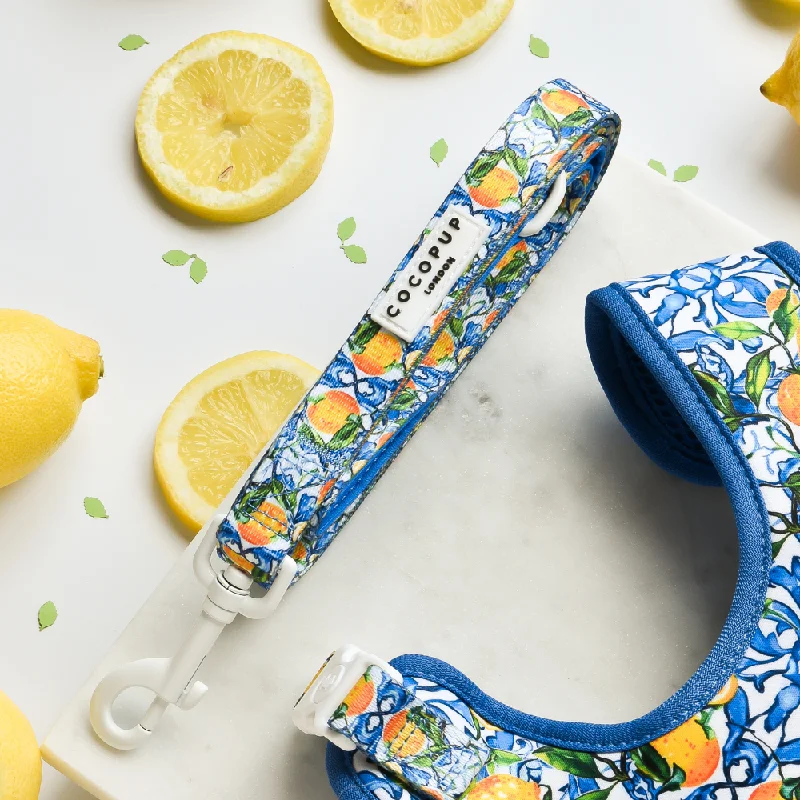 Amalfi Lemon Lead