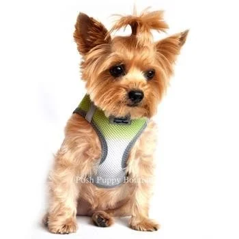 American River Ultra Choke Free Dog Harness- Ombre Collection -Limestone Gray