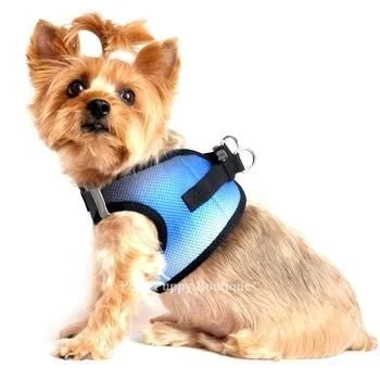 American River Ultra Choke Free Dog Harness- Ombre Collection -Midnight Sky