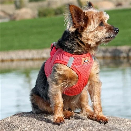 American River Ultra Choke-Free Mesh Dog Harness - Coral