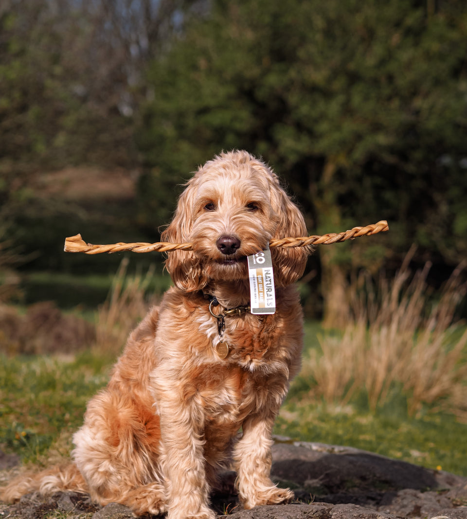 Anco Giant Goat Braid Dog Chew