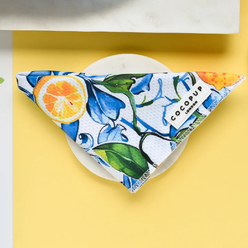 Bandana - Amalfi Lemon