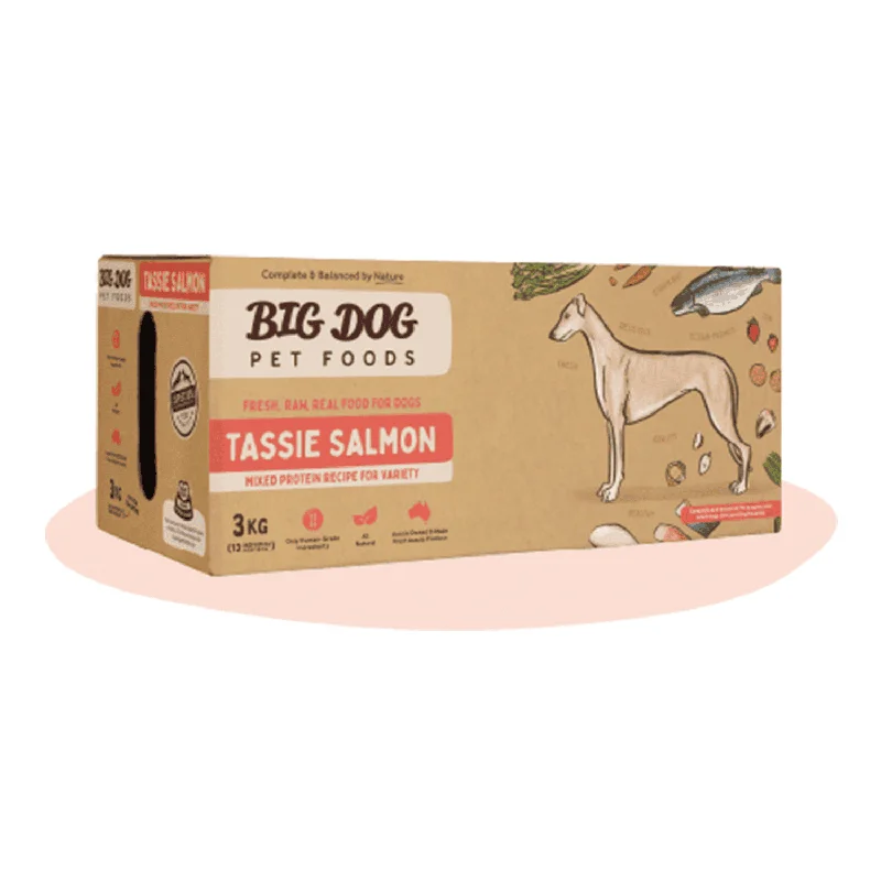 Big Dog Salmon Barf Frozen Raw Dog Food