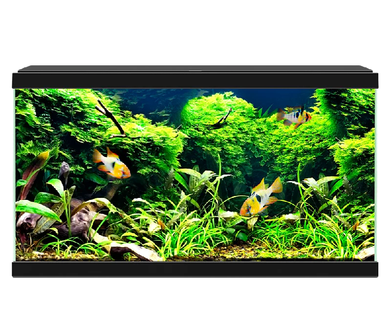 Ciano Aquarium 60 LED Black