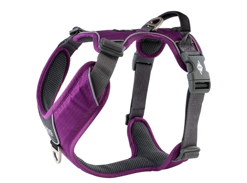 Copenhagen Comfort Walk Pro Dog Harness-Purple