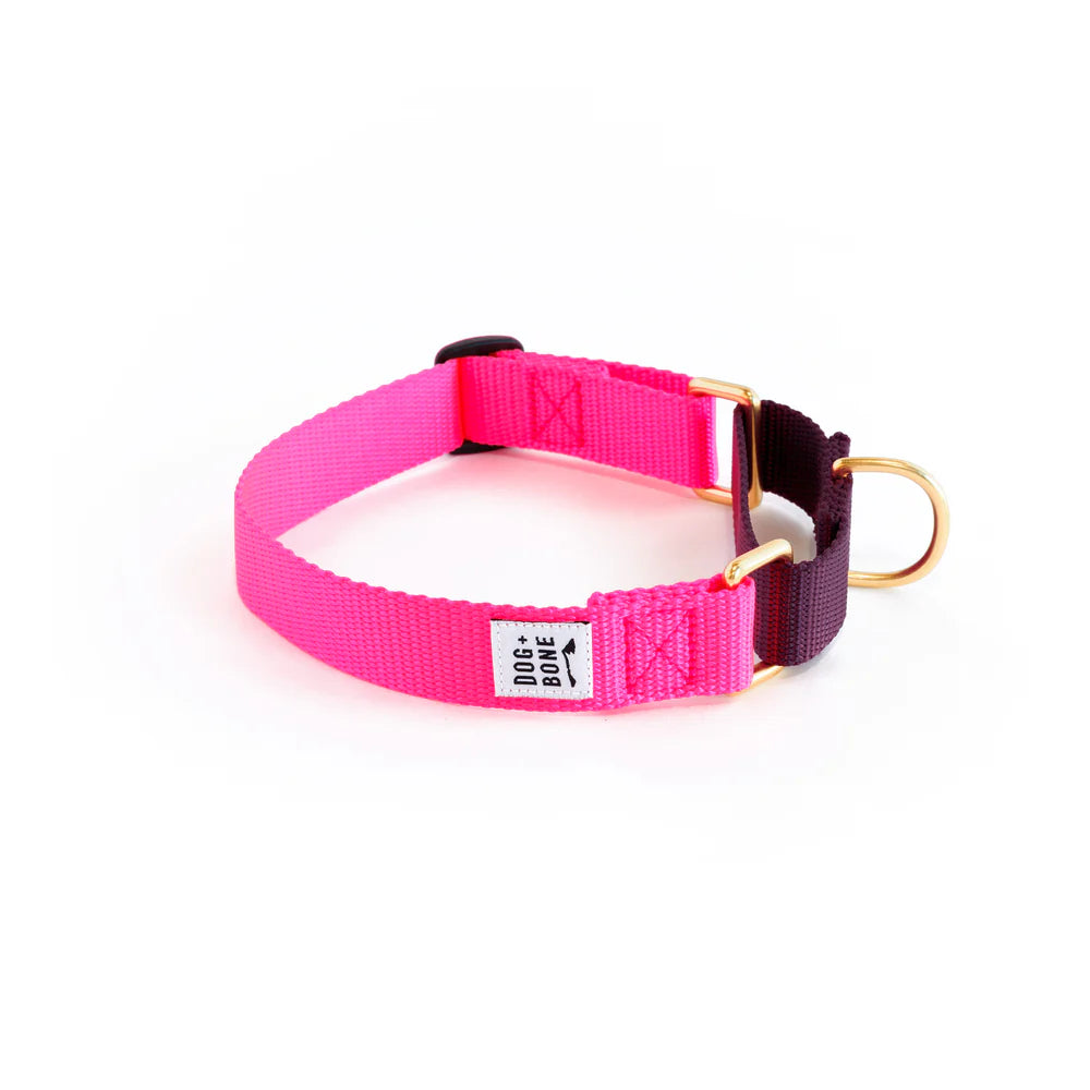 Martingale Collar - Hot Pink + Purple