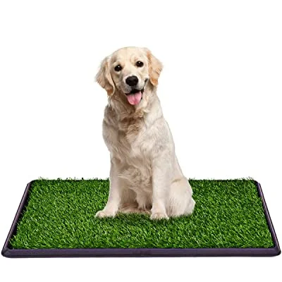 DOG & CAT TOILET WITH GREEN GRASS