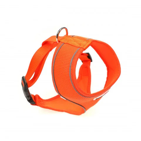 Doodlebone - Originals Airmesh Harness - Tangerine - Size 4