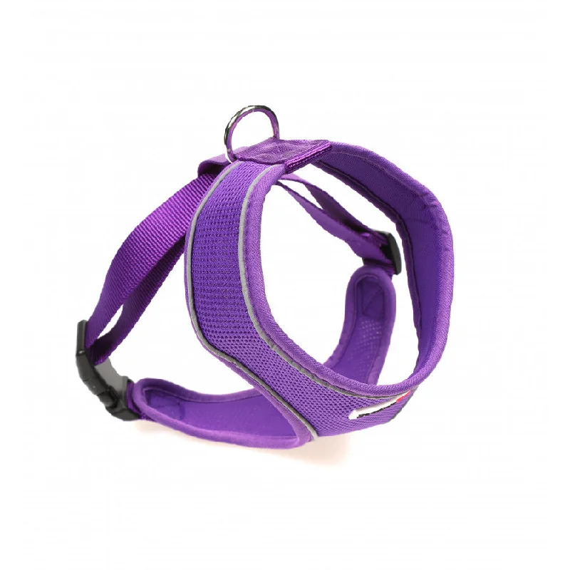 Doodlebone - Originals Airmesh Harness - Violet - Size 4