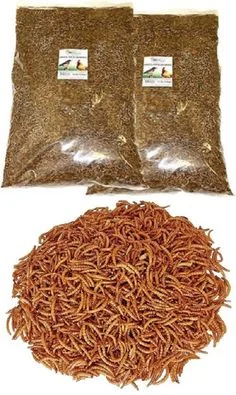 DRIED MEALWORMS 100GR X6PCS