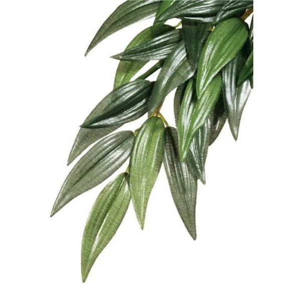 Exo Terra Forest Plant Ruscus Medium***