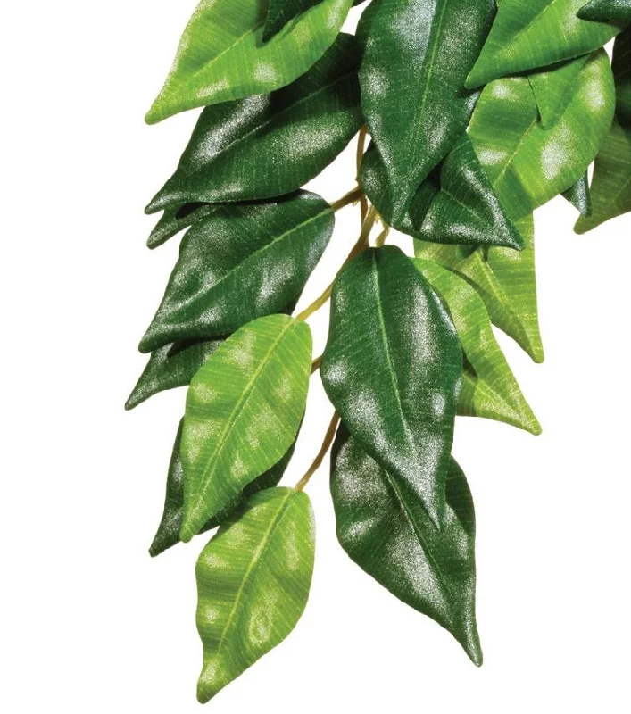 Exo Terra Silk Hanging Rainforest Ficus Plant