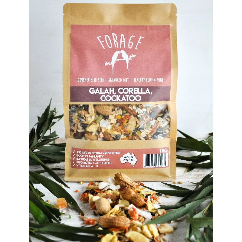 Forage Galah Corella and Cockatoo Gourmet Bird Seed 1kg