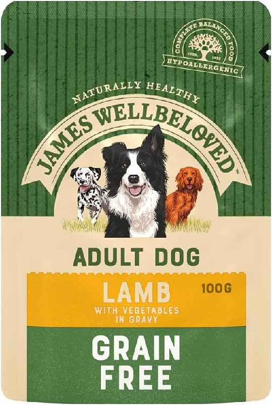 James Wellbeloved - Adult Dog Grain Free Wet Food - Lamb - 90g Pouch