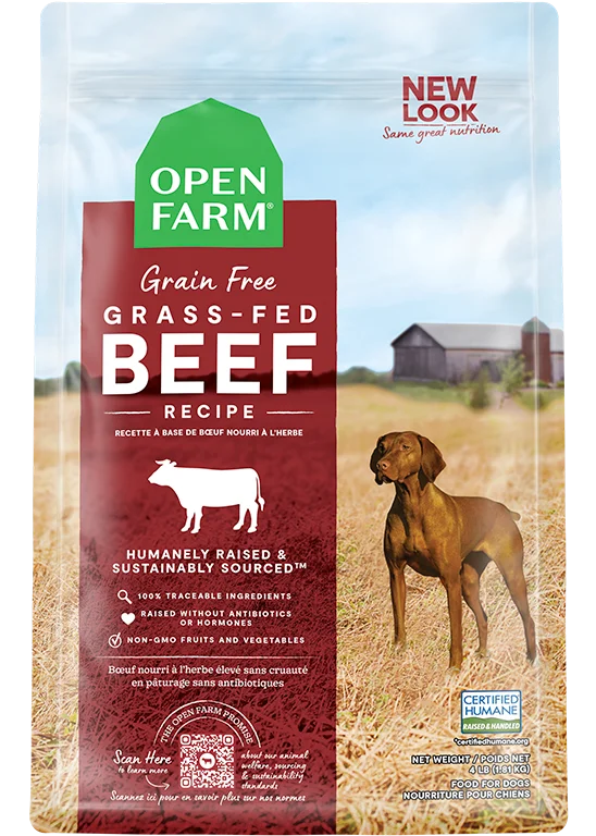 Grain-Free: Grass-Fed Beef Recipe