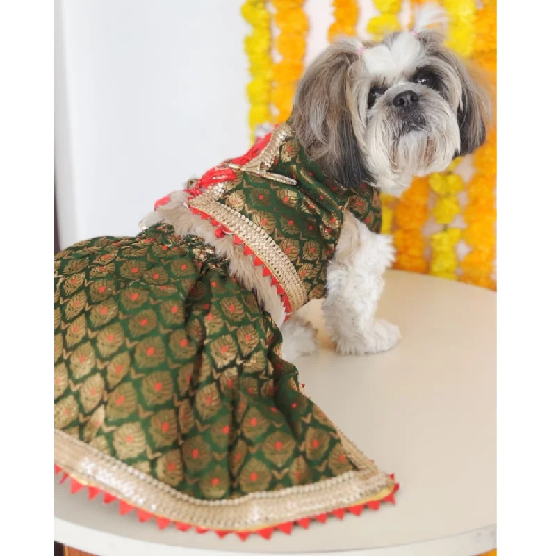 Pawgypets Brocade Lehenga for Dogs and Cats (Green)