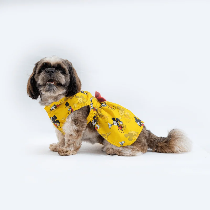 Pawgypets Mickey Casual Dress for Dogs and Cats (Yellow)