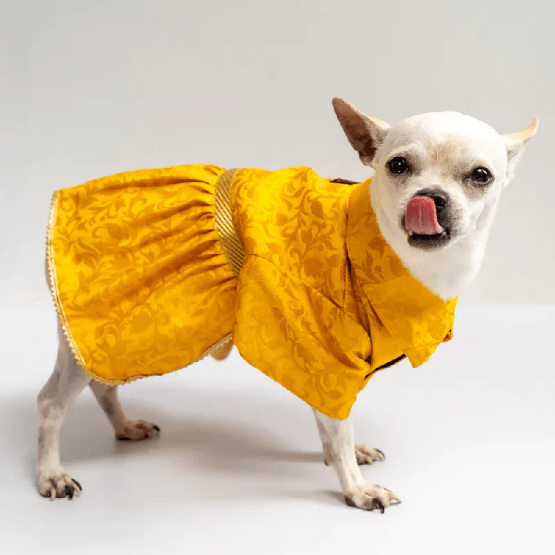 Pawgypets Occasion Wear Dress for Dogs and Cats (Yellow)