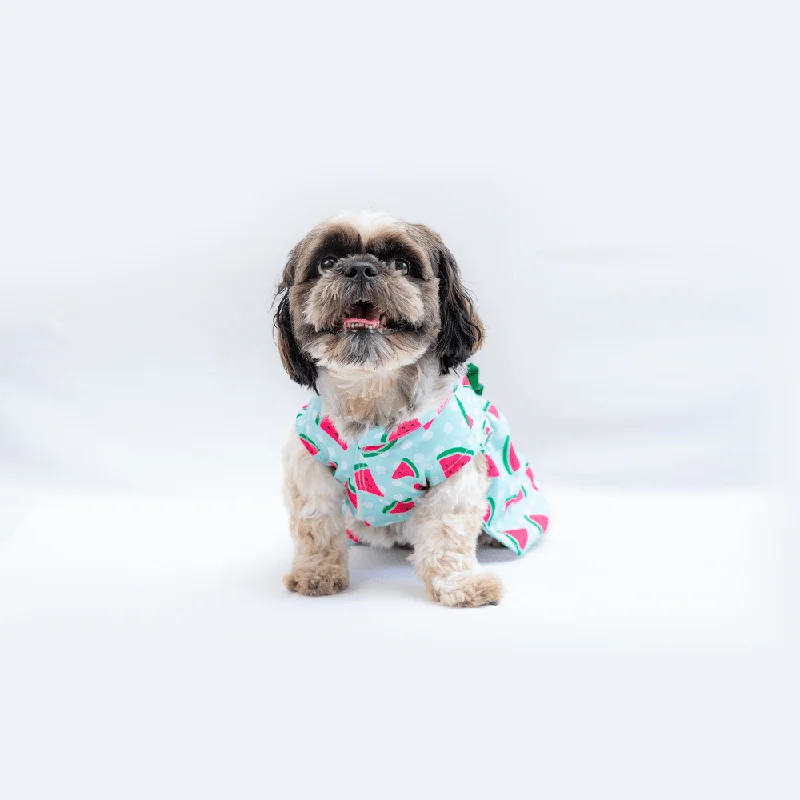 Pawgypets Watermelon Casual Dress for Dogs and Cats