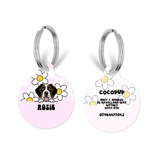 Personalised Dog Cartoon ID Tag - Daisy Gingham Rave