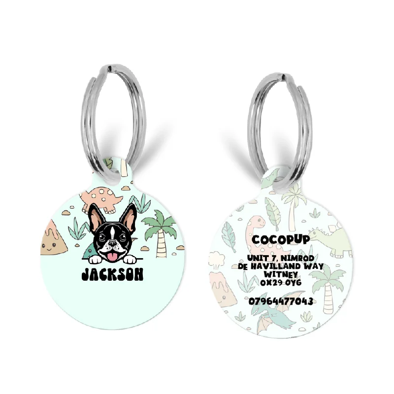 Personalised Dog Cartoon ID Tag - Dinopaws