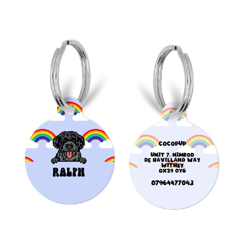 Personalised Dog Cartoon ID Tag - Over the Rainbow