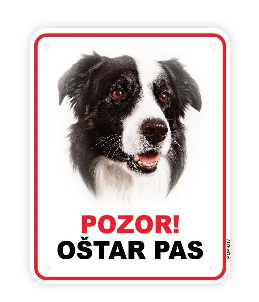 Pločica s natpisom, Border Collie - glava, PVC, 115x147mm