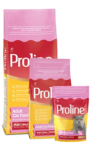 PROLINE Whole and Balanced Colored Grain Chicken Cat Food for Adult Cats 1.2KG