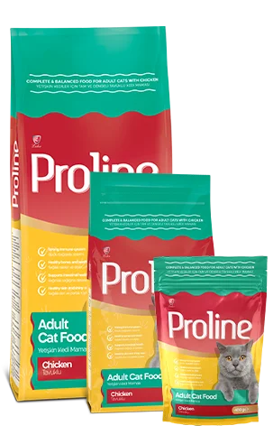 PROLINE Complete and Balanced Chicken Cat Food for Adult Cats 1.2KGX14BAG CTN