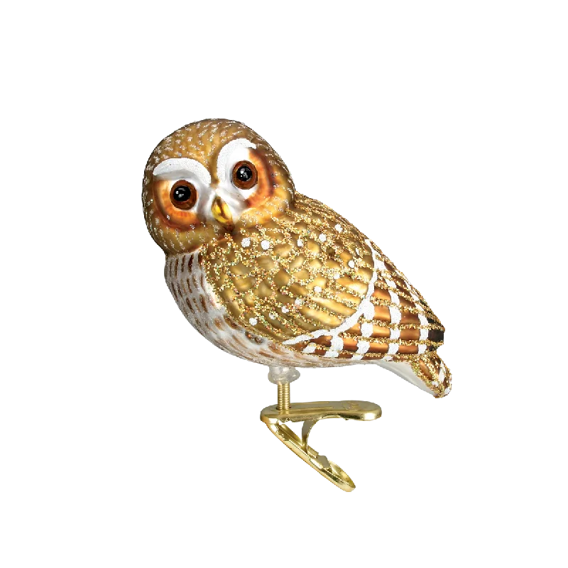 Pygmy Owl