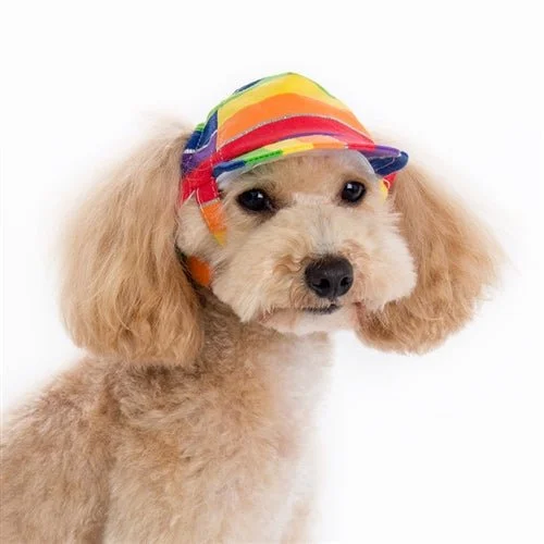 Rainbow Hat