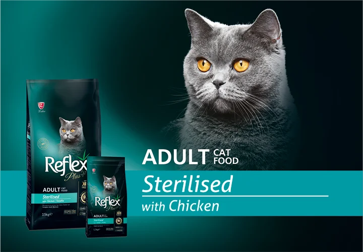 REFLEX PLUS STERLISED CATFOOD DRY CHICKEN 15KG