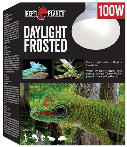 REPTI PLANET Bec pentru terariu Daylight Frosted