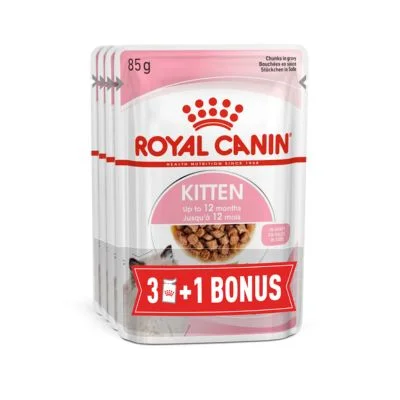 ROYAL CANIN vrećica za mačiće FHN KITTEN u želeu 85g 3+1 BONUS