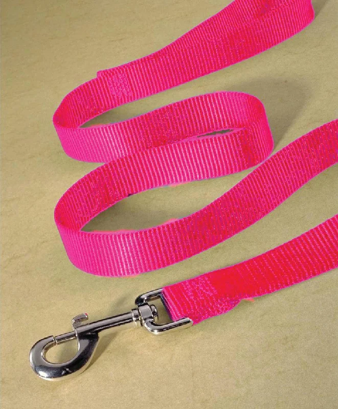 Single Thick Nylon Lead