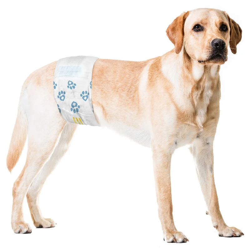 ValueWrap Male Wraps, Disposable Dog Diapers, 1-Tab Large, Lavender, 24 Count