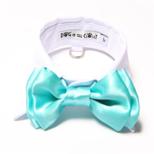 White Shirt Dog Collar with Tiffany Blue Bow Tie