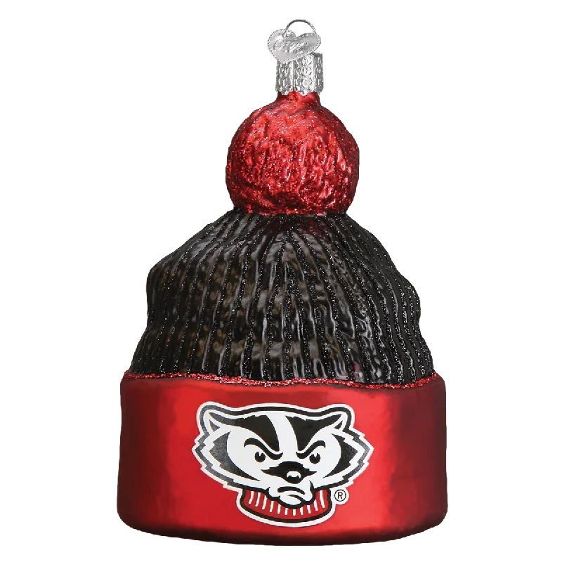 Wisconsin Beanie